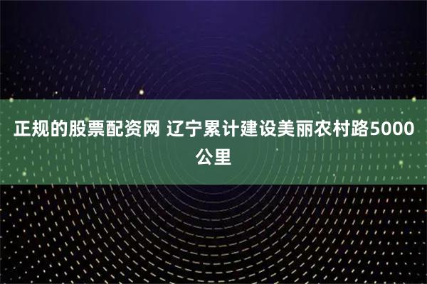 正规的股票配资网 辽宁累计建设美丽农村路5000公里