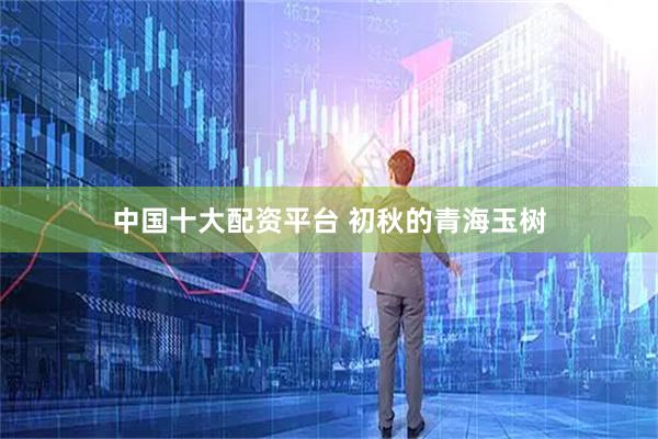 中国十大配资平台 初秋的青海玉树