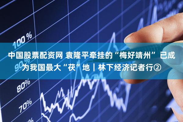 中国股票配资网 袁隆平牵挂的“梅好靖州” 已成为我国最大“茯”地｜林下经济记者行②
