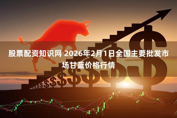 股票配资知识网 2026年2月1日全国主要批发市场甘蓝价格行情